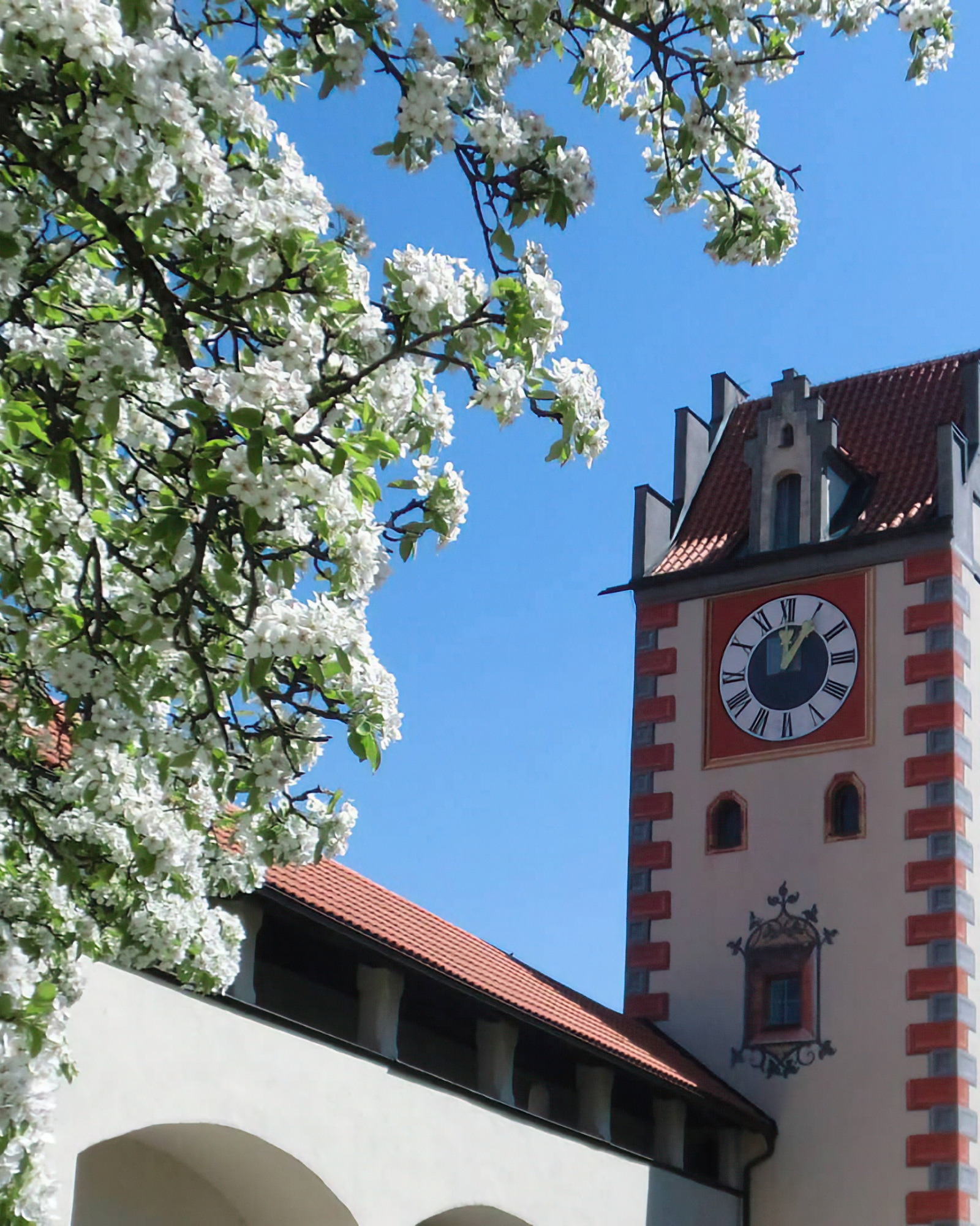Castillo alto en Füssen