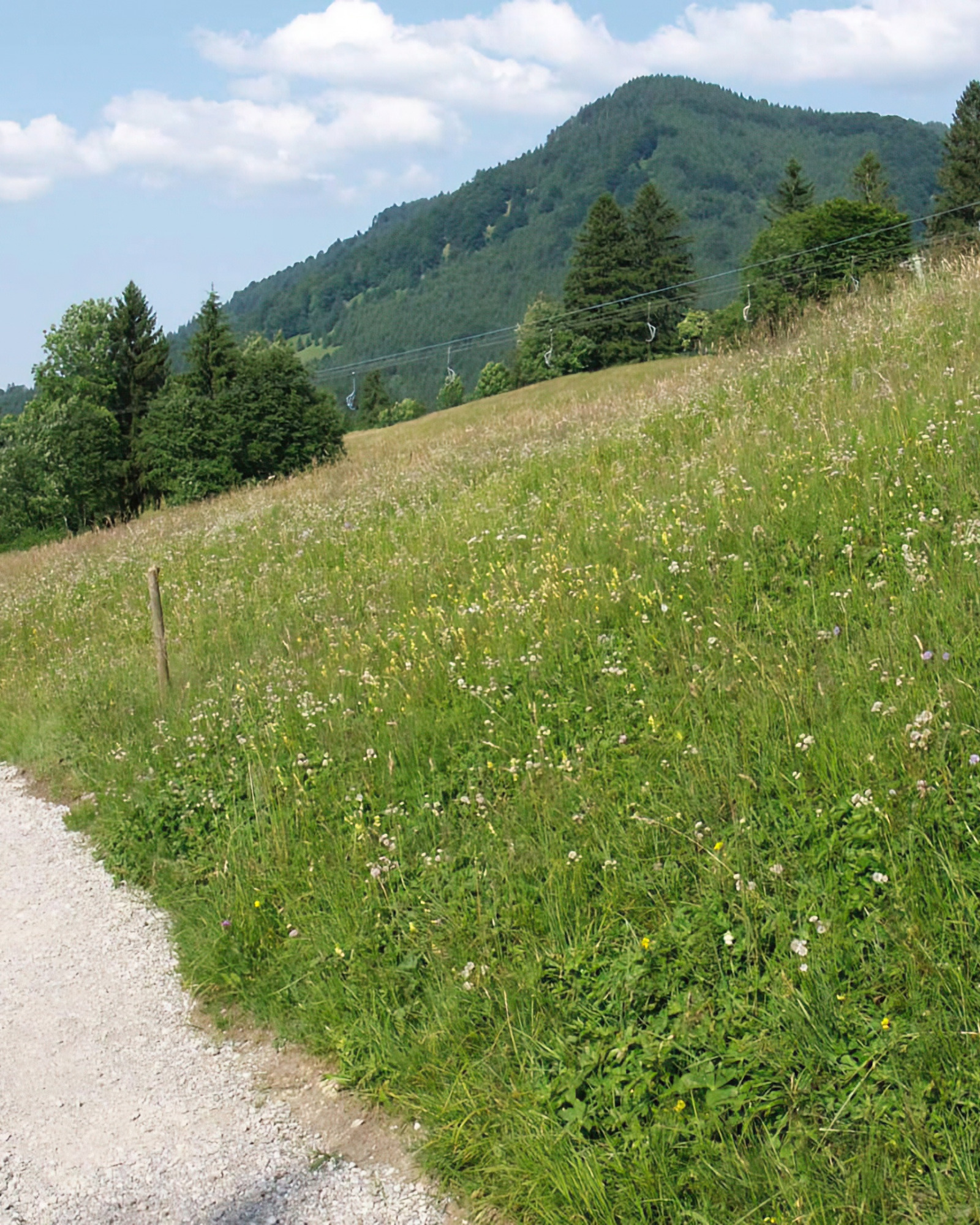 Percorsi escursionistici a lunga distanza intorno alla città di Füssen nell'Allgäu
