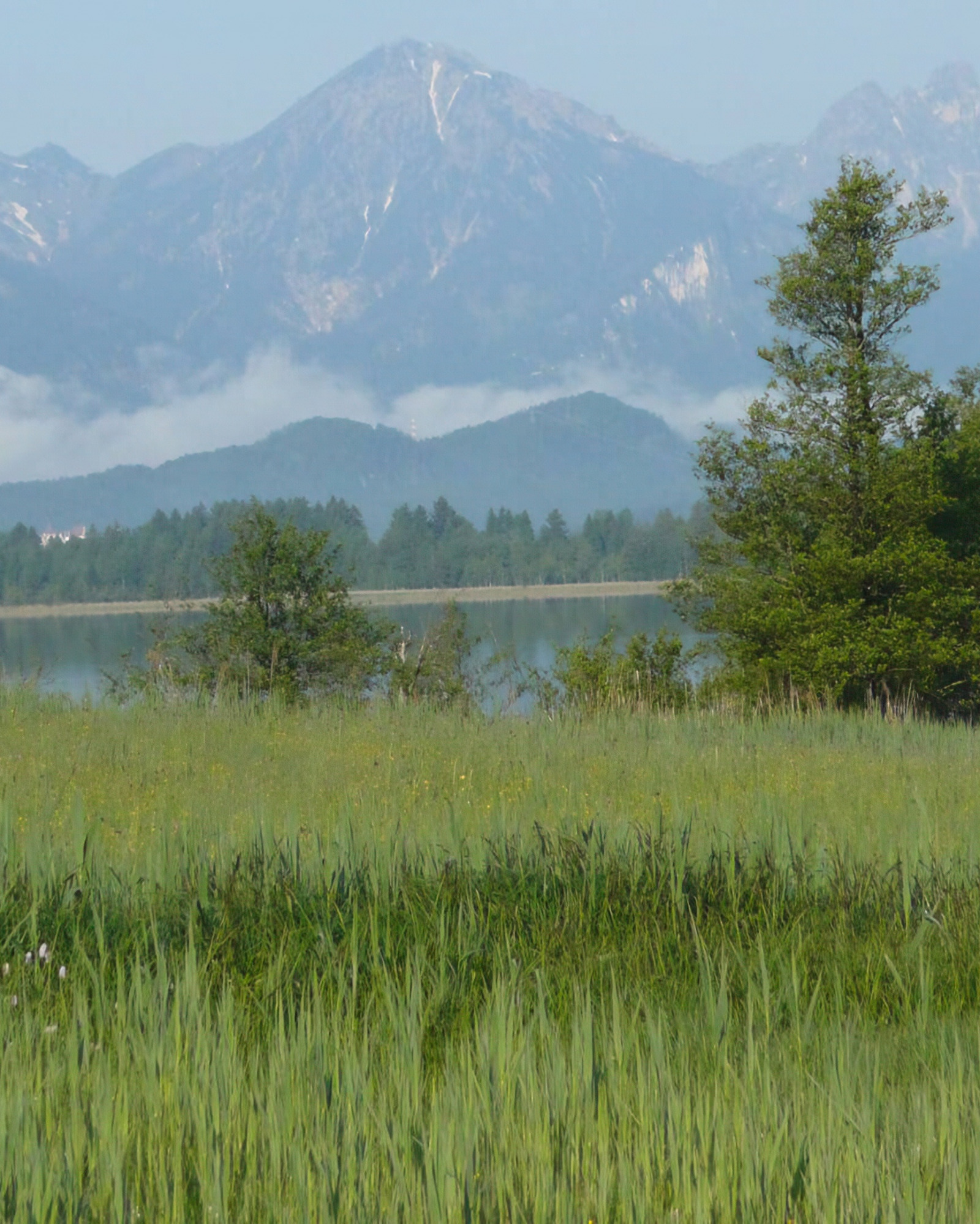 El Bannwaldsee cerca de Füssen