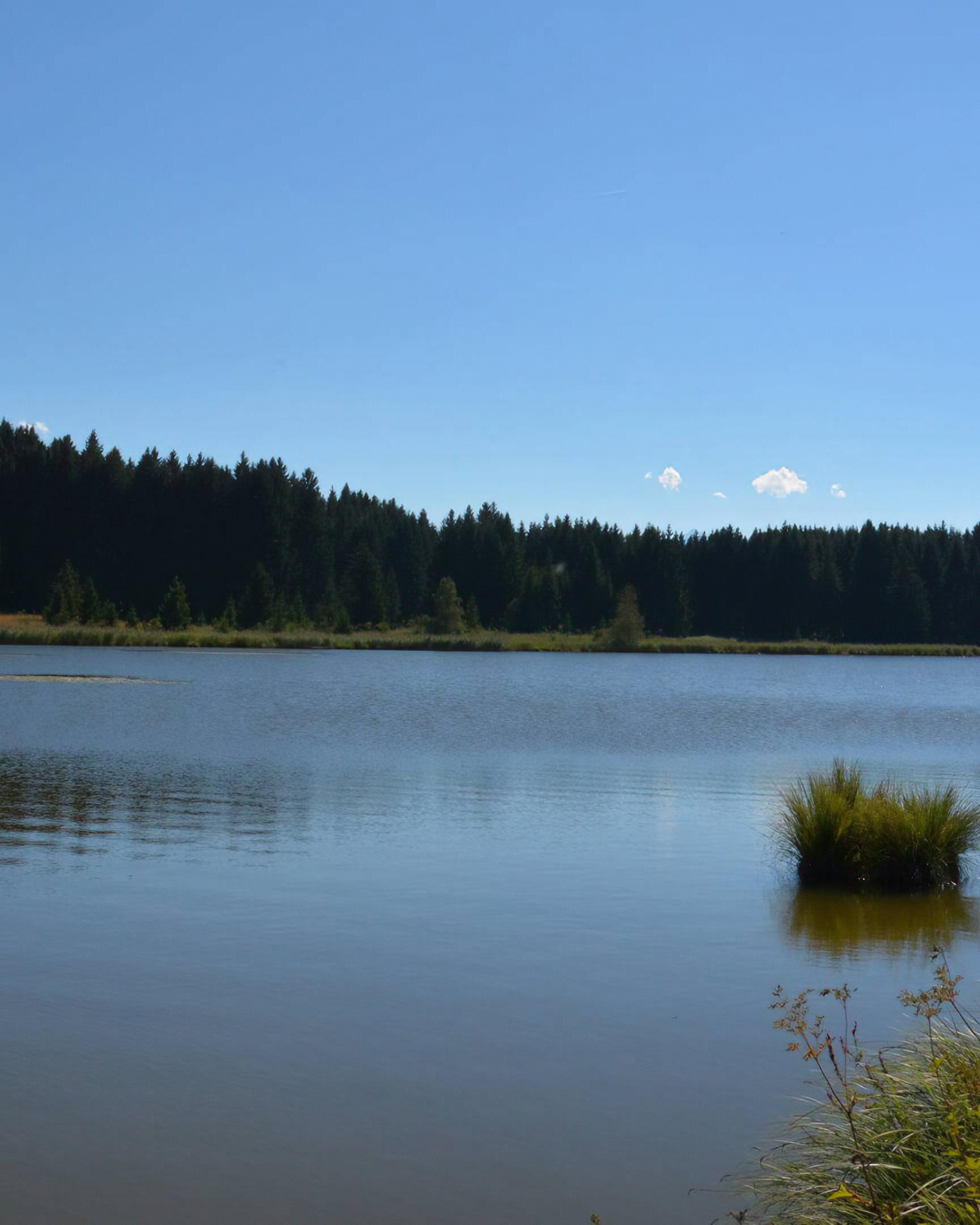 Der Kaltenbrunner See