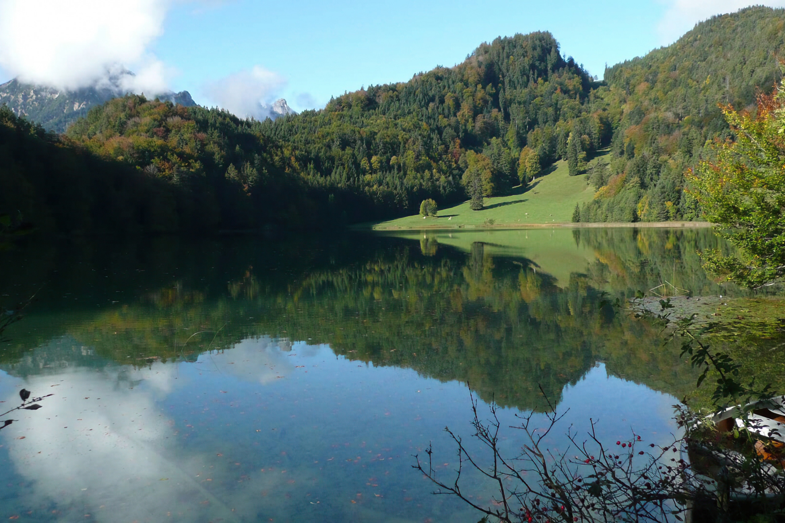 Die Saloberalpe im Allgäu