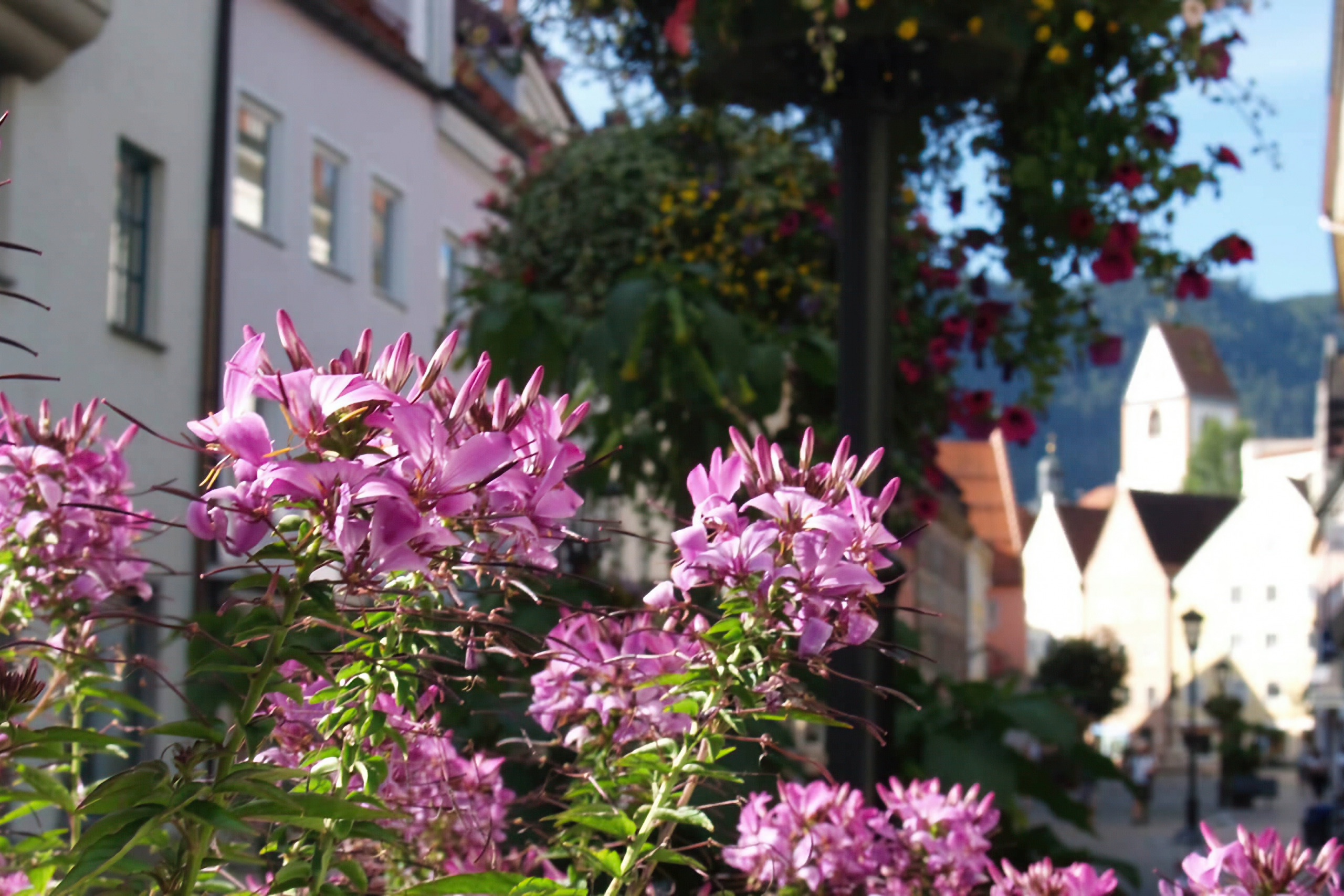 Printemps à Füssen