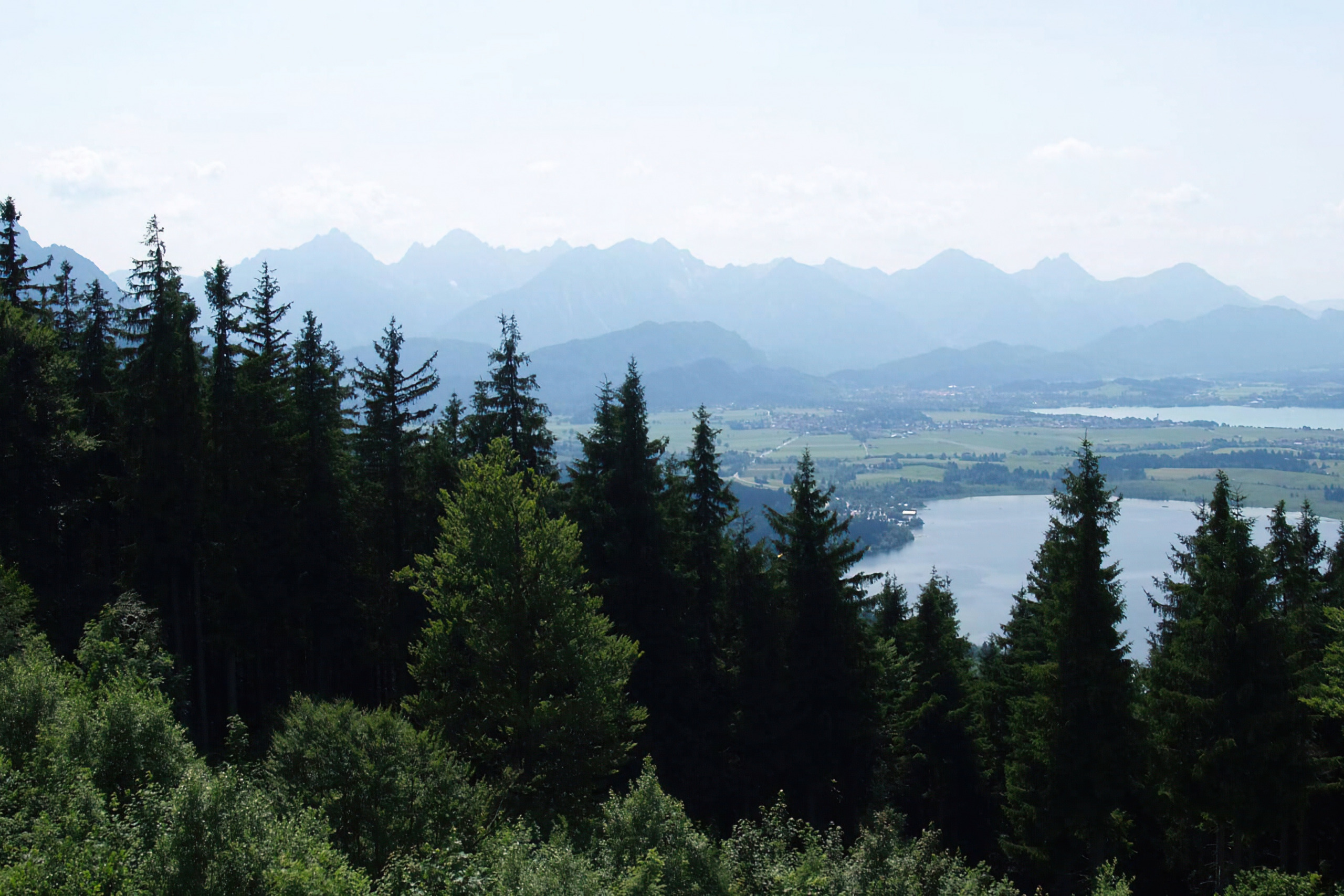 Buchenberg-Runde