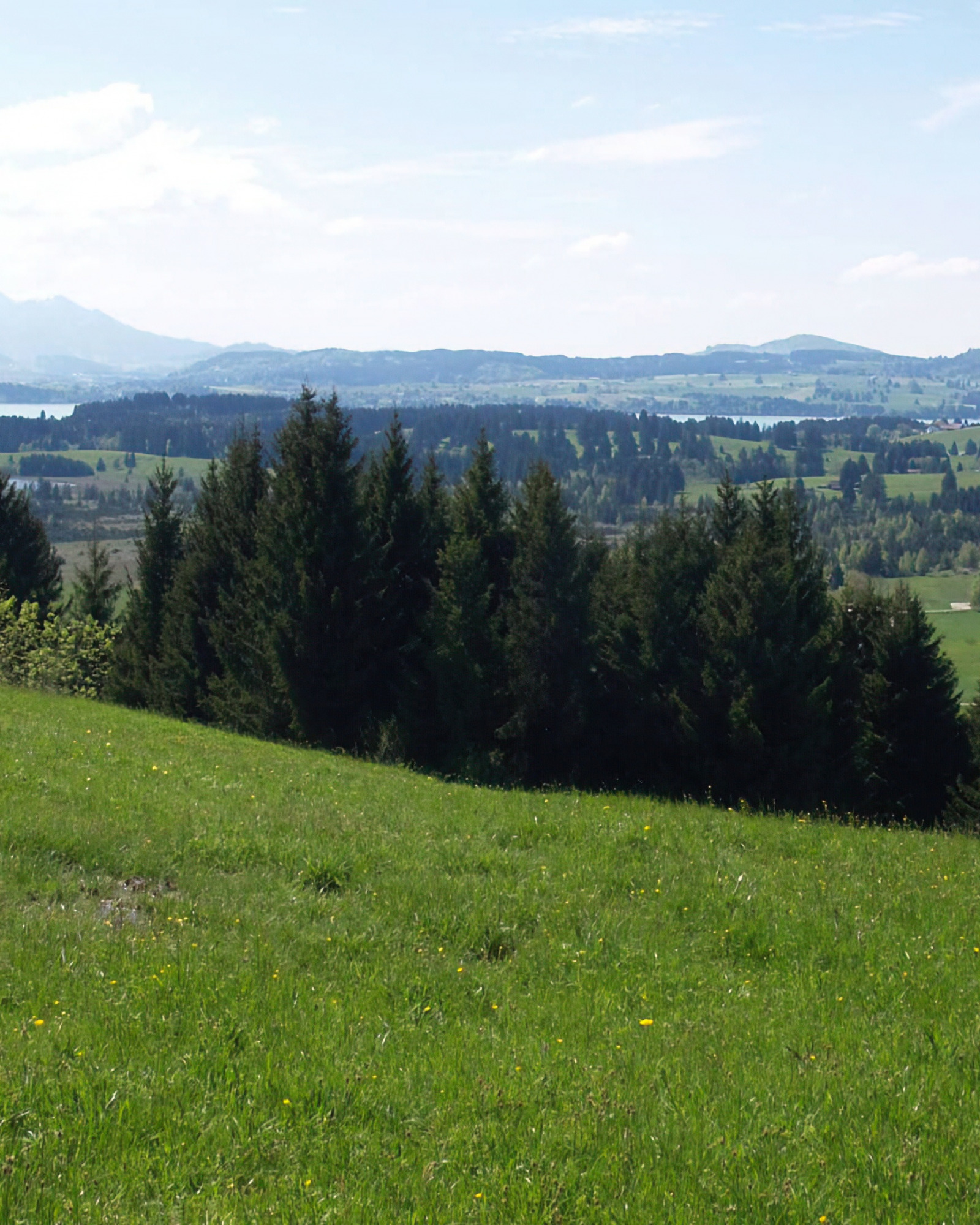 Buching - Riserva naturale Ammergebirge - Schwangau