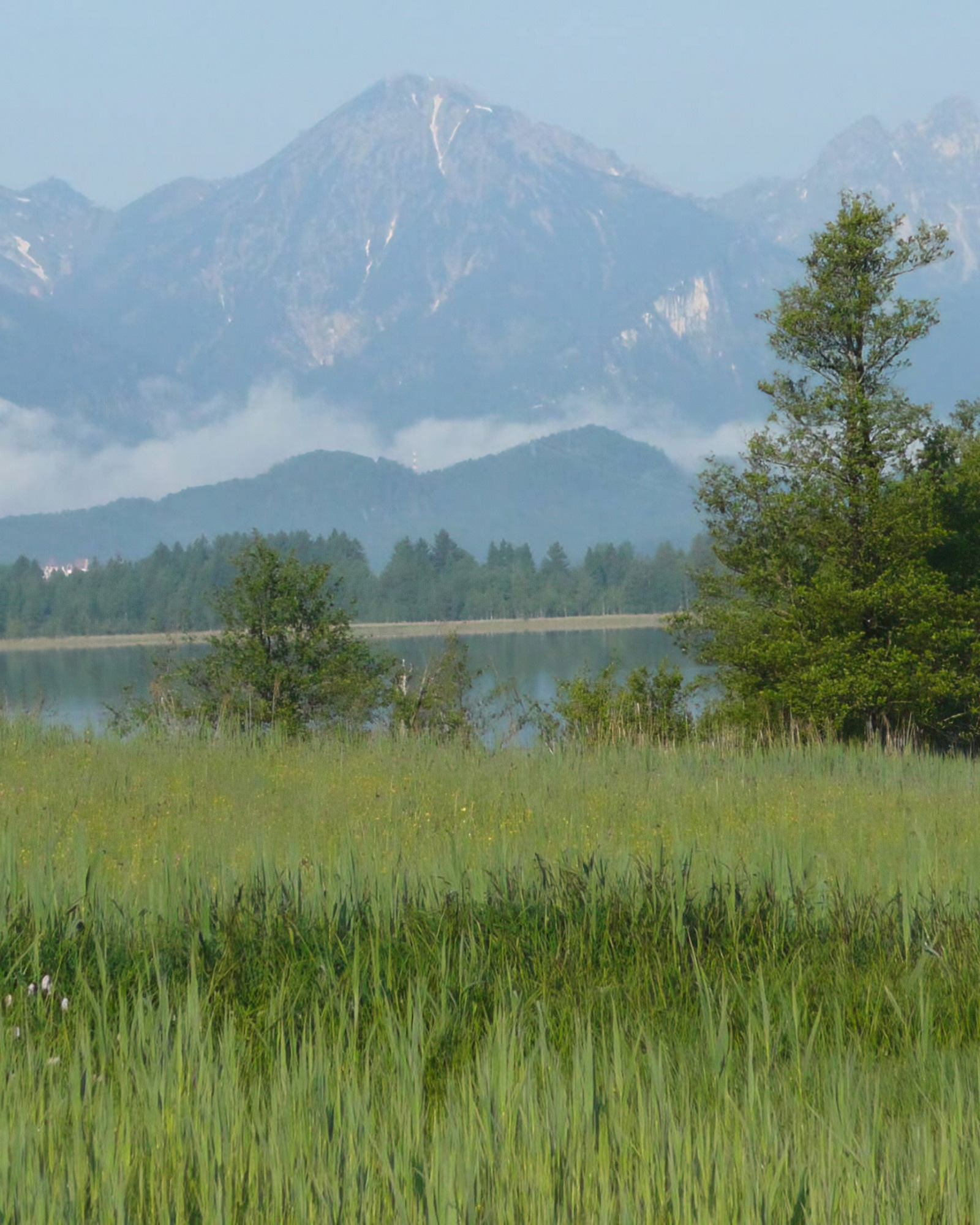 Tour du lac Bannwald