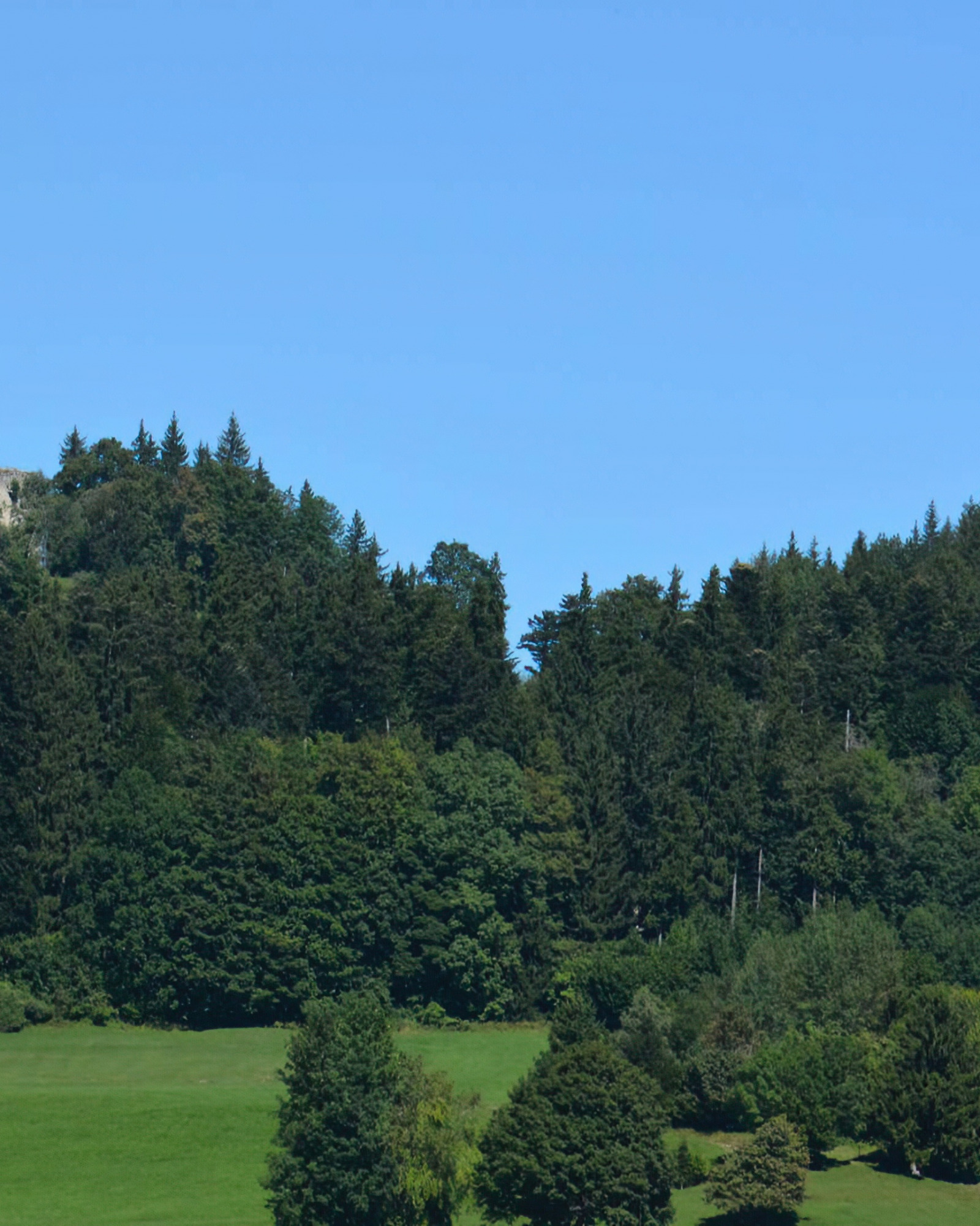 Von Weißensee zu den Burgruinen