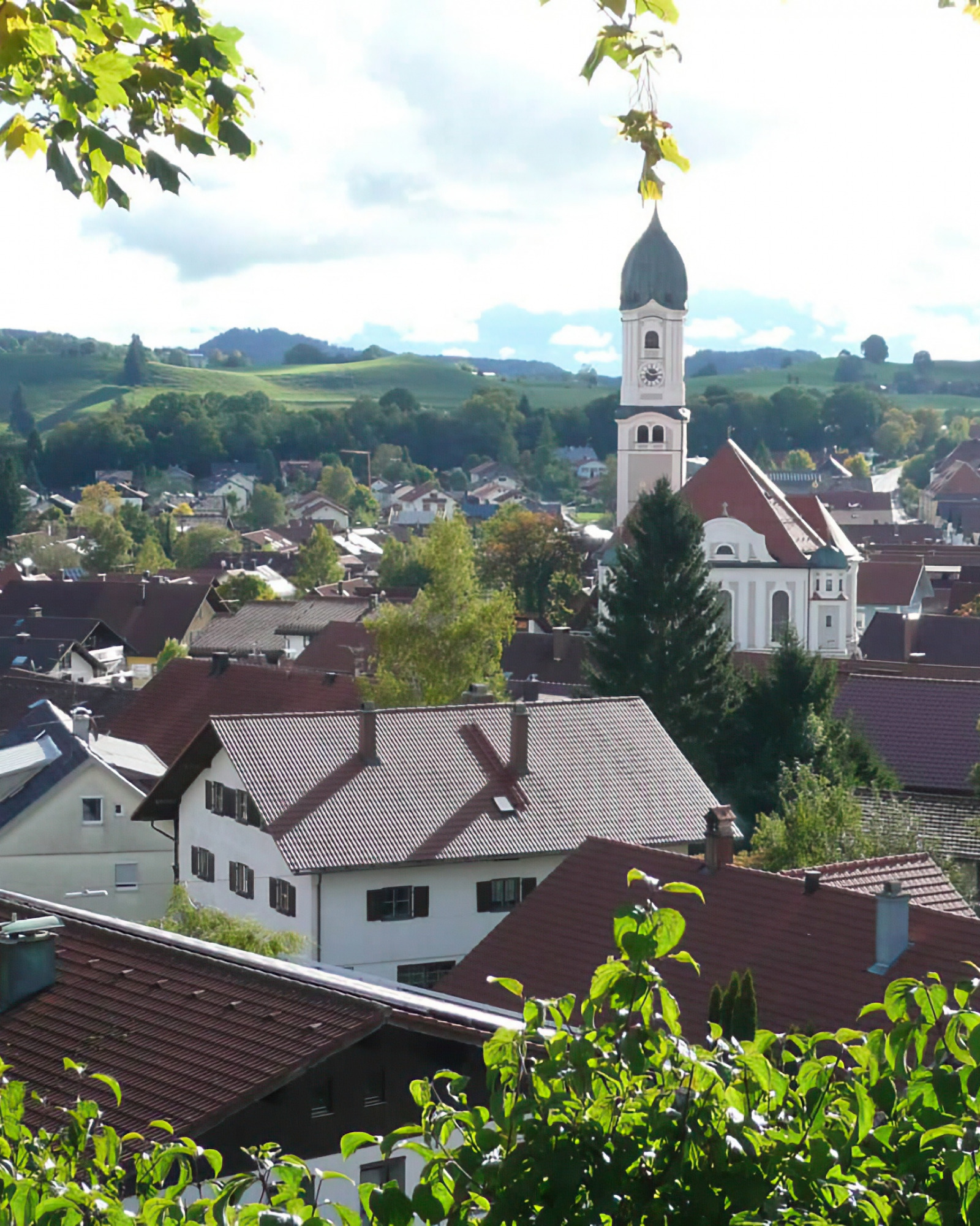 Die Burgruine Nesselburg