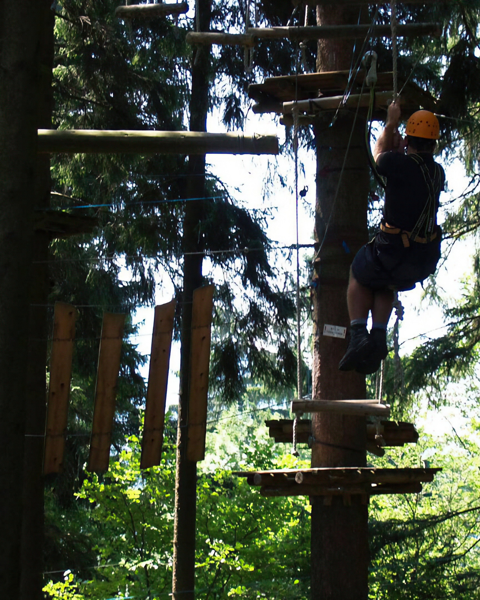 The forest rope garden Höllschlucht in Pfronten