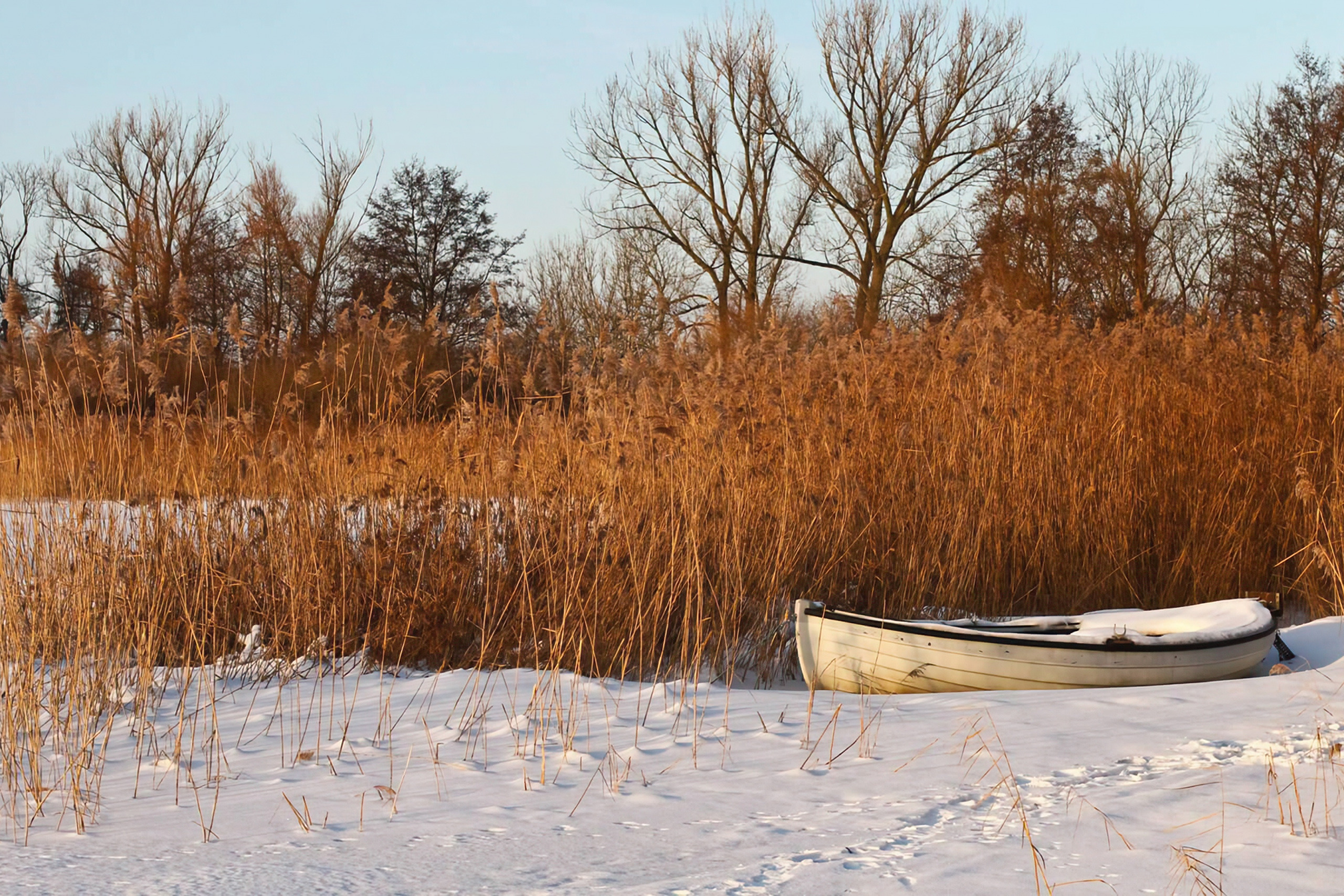 Winter hike around the Hopfensee