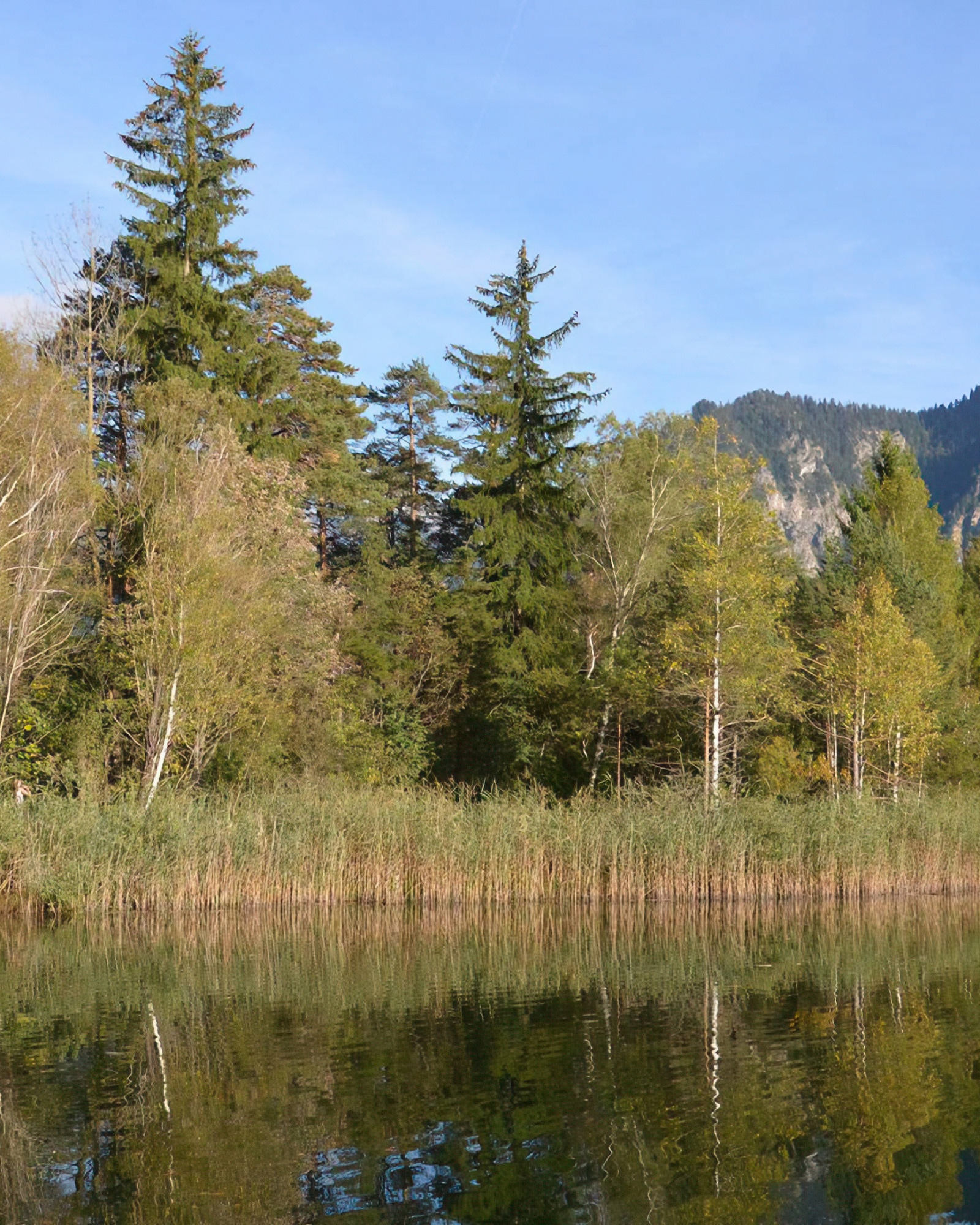 La visite de Schwangau