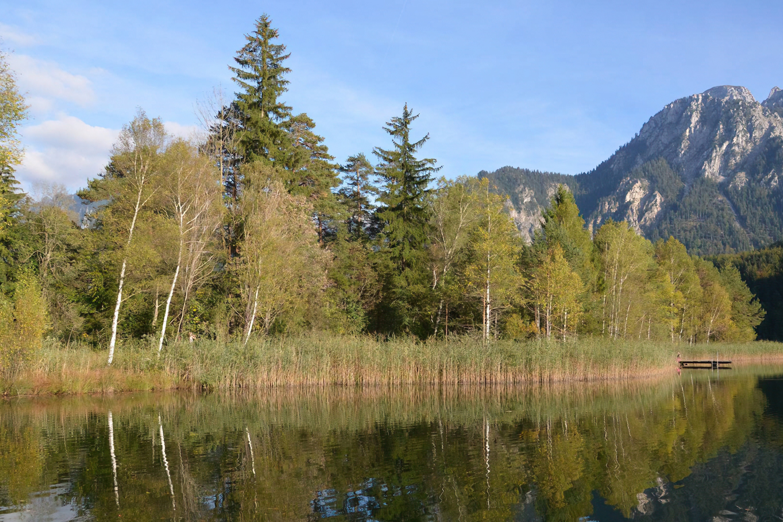 De Schwangau Tour