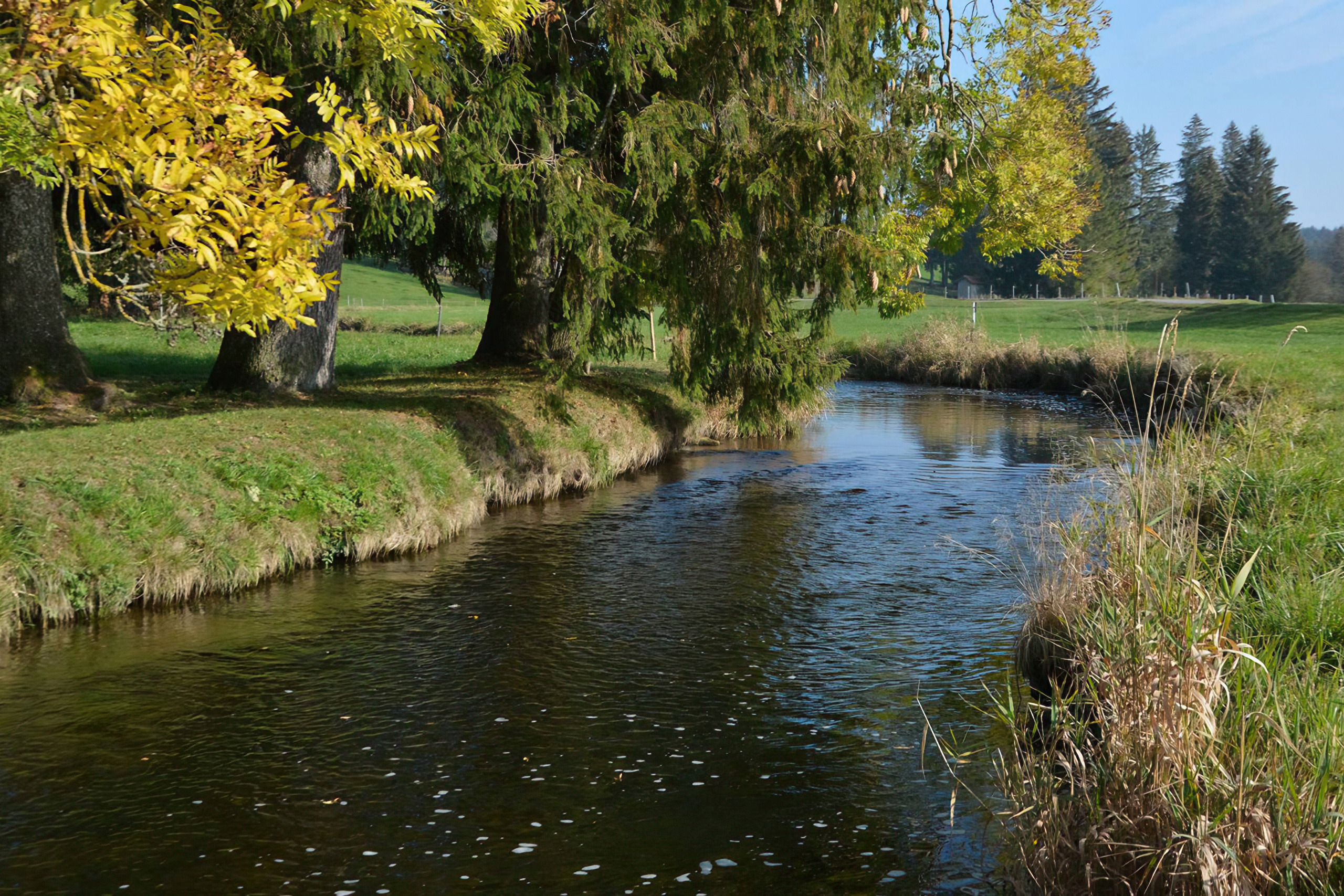 Wandelplezier op de Lengenwanger Kleeblattregen